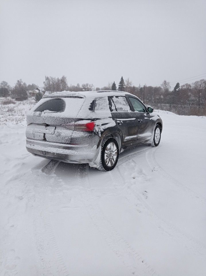 Skoda Kodiaq: фото владельца