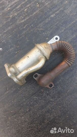 Радиатор EGR с гофрой Megane, Qashqai 1,5D K9K