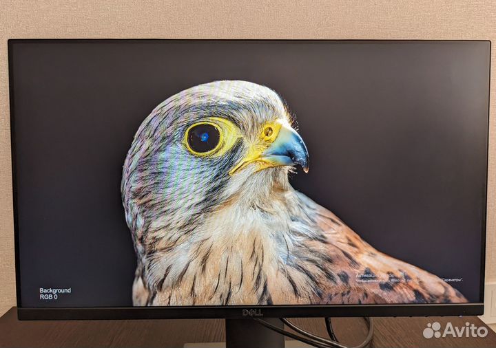 Монитор Dell P2319H