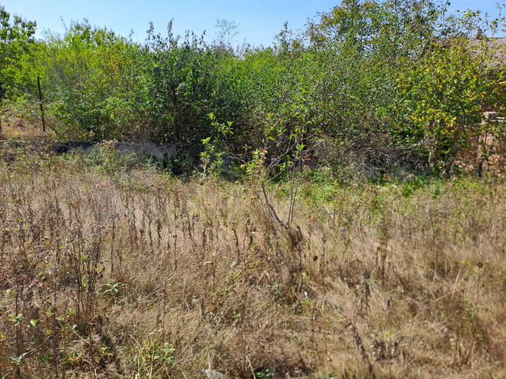 Участок 5,2 сот. (СНТ, ДНП)