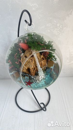 Подарки Моссариумы