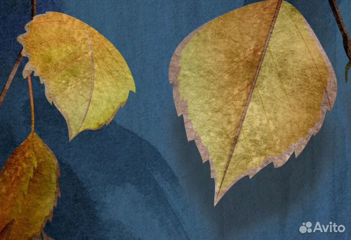 Фотообои для стен / Детские фотообои