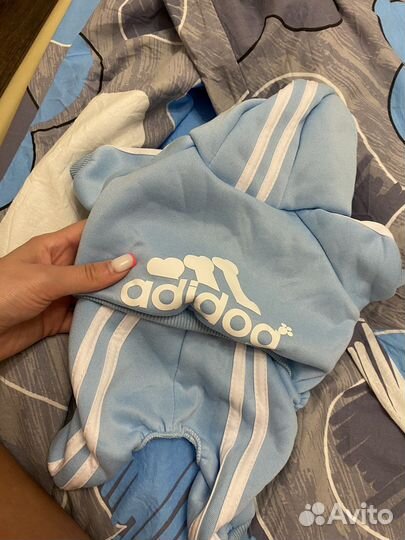 Продам для собачек мелких пород