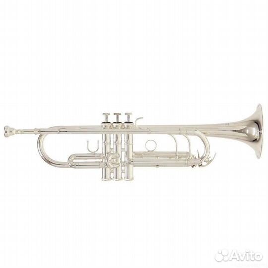 Труба Roy Benson TR-403S Bb