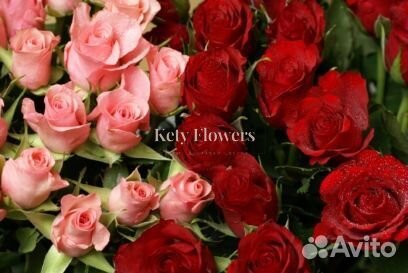 Цветы 101 роза