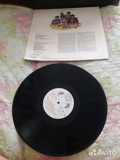 Виниловые пластинки