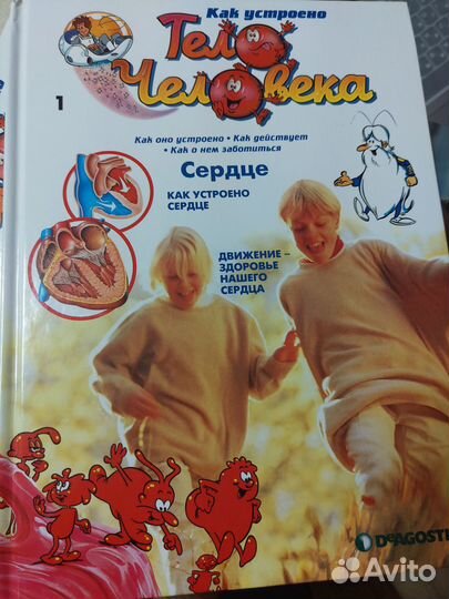 Как устроено тело человека (книги)