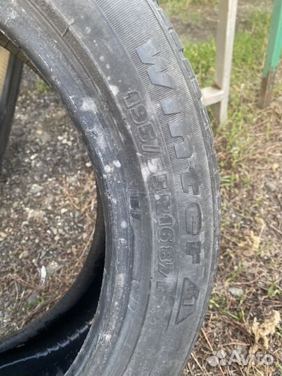 Tigar Winter 1 195/55 R16