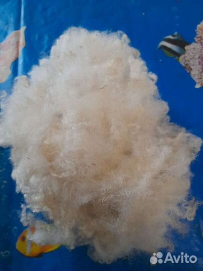 Шерсть овечья