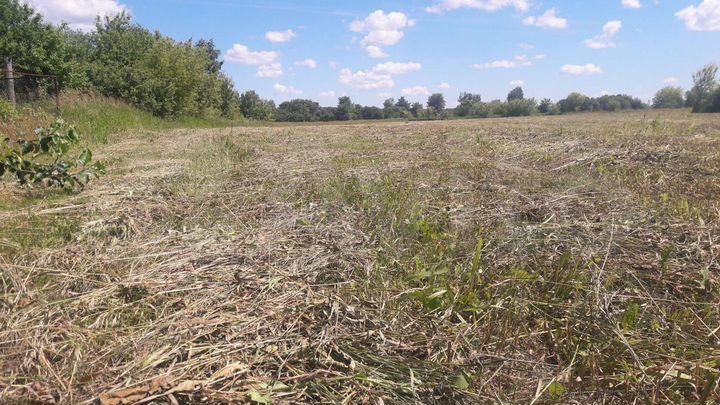 Участок 30 сот. (ИЖС)