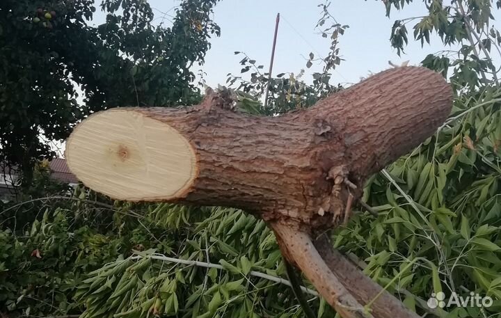 Отдам дрова бесплатно