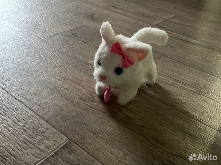 Интерактивная кошка