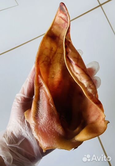 Лакомства для собак