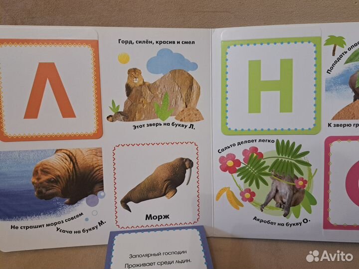 Книги с окошками для детей 2-3 лет, набором