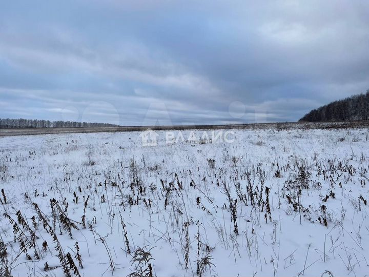 Участок 1,2 га (ИЖС)