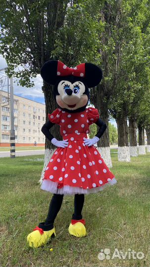 Костюм для аниматора