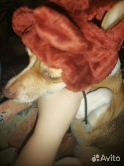 Шапка для собак мелких пород