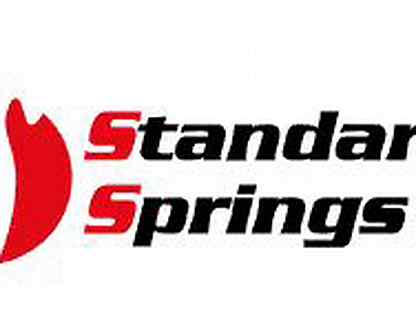 Standard springs ST123094F Пружина ходовой части п