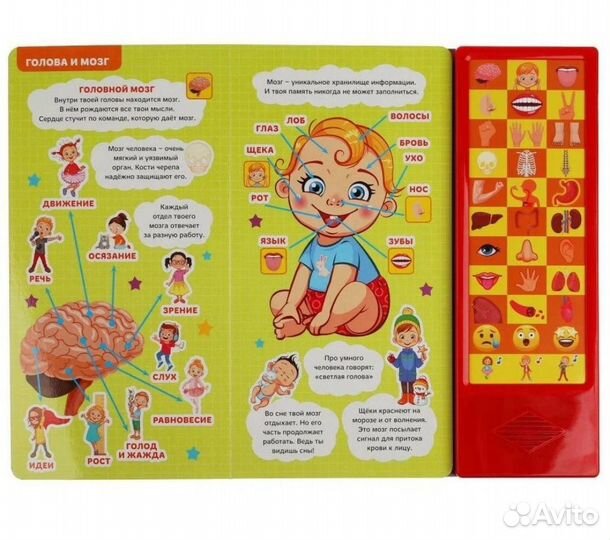 Говорящая энциклопедия. Тело человека