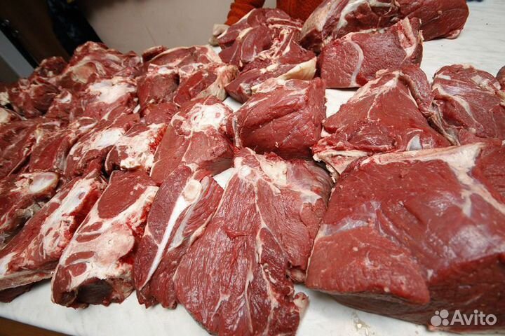 Мясо конина, говядина, баранина