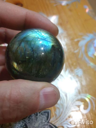 Лабрадор природный