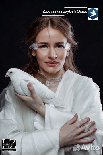 Выпуск голубей