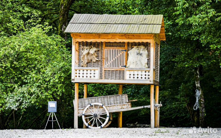 Индивидуальные туры и экскурсии в Абхазию из Сочи