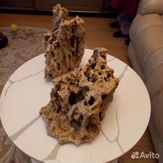 Ракушечник песчаник