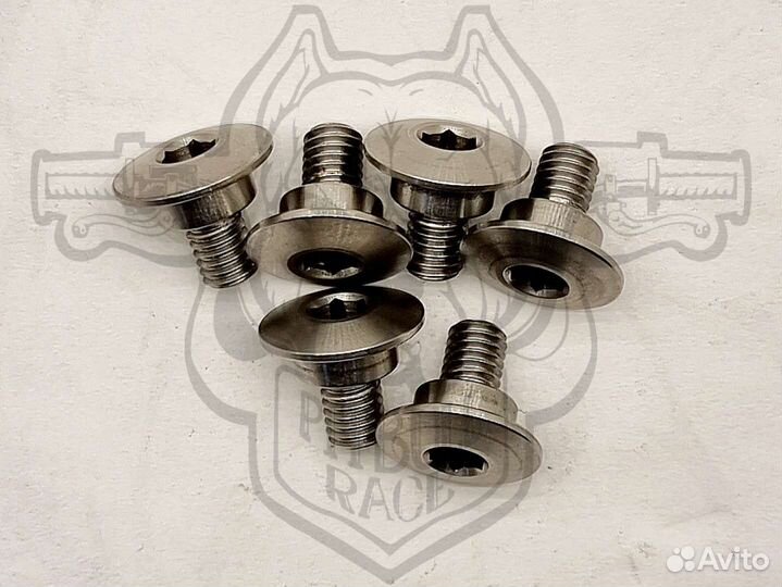 Винты крепления защиты перьев вилки М6, комплект