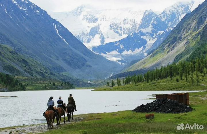 Путешествие Горный Алтай 6нч