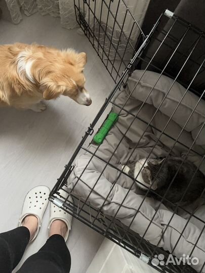 Клетка для собак