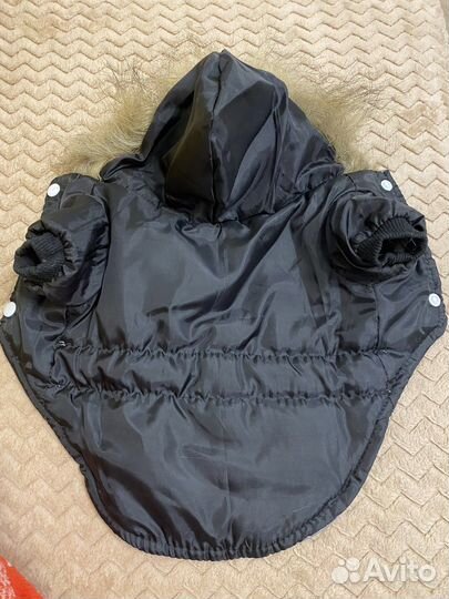 Одежда для животных