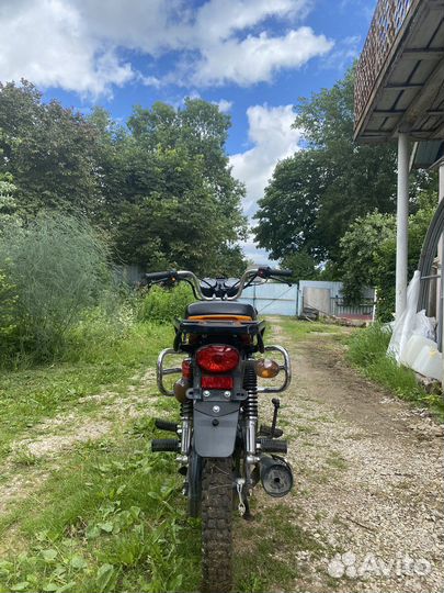 Альфа рейсер