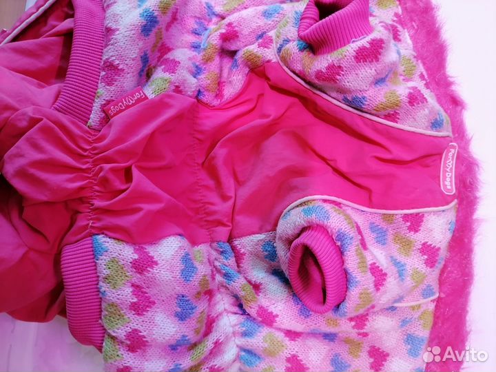 Одежда для маленьких собак