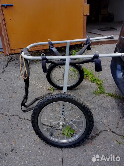 Коляска для собаки-инвалида