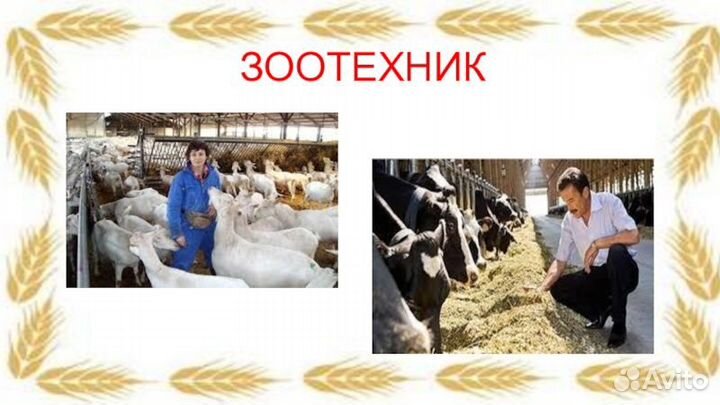 Зоотехник в Арский район, дер. Пионер