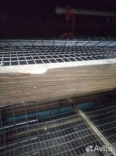 Клетка для перепелов 120-150 голов
