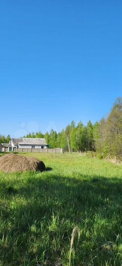 Участок 14,3 сот. (СНТ, ДНП)