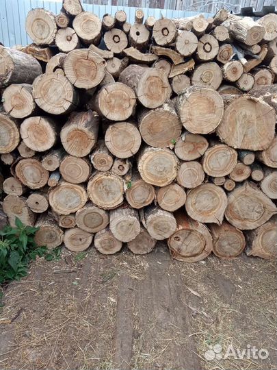 Дрова дубовые