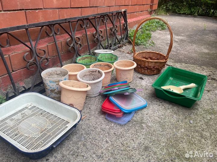 Окна пластиковое, деревянные