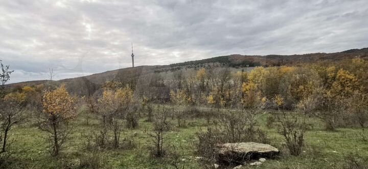 Участок 1,1 га (СНТ, ДНП)