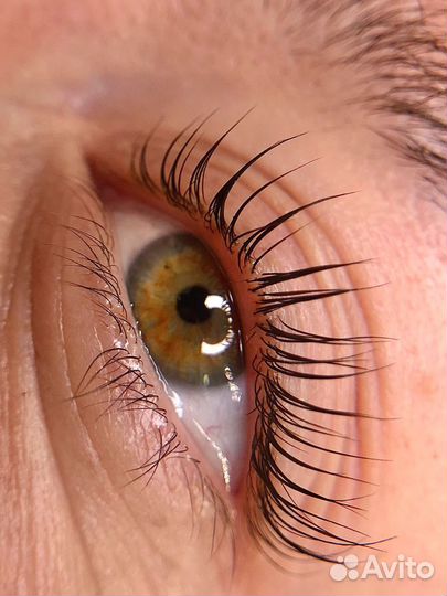 Ламинирование ресниц+Ботокс / Брови