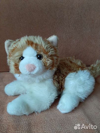 Плюшевый медведь и кот