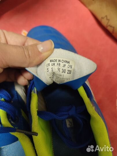 Сороконожка