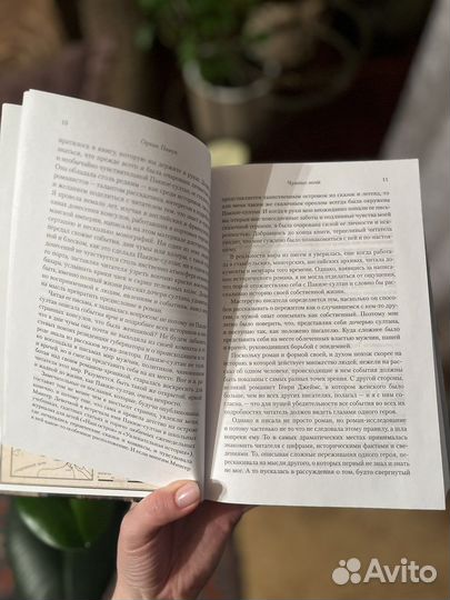 Чумные ночи, Орхан Памук