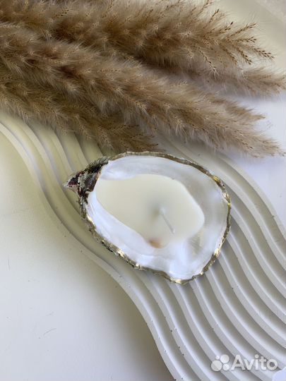 Соевая свеча в устричной раковине