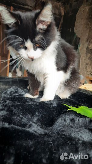 Мальчик очень ласковый