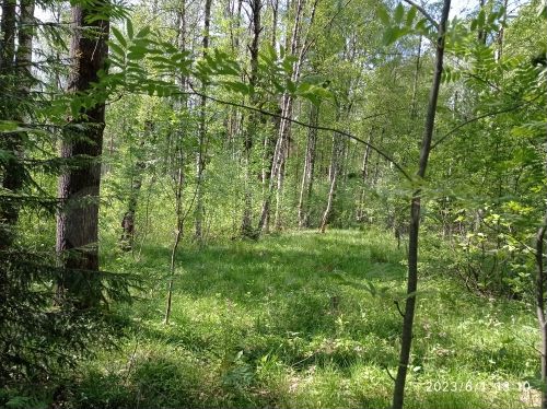 Участок 8 сот. (СНТ, ДНП)