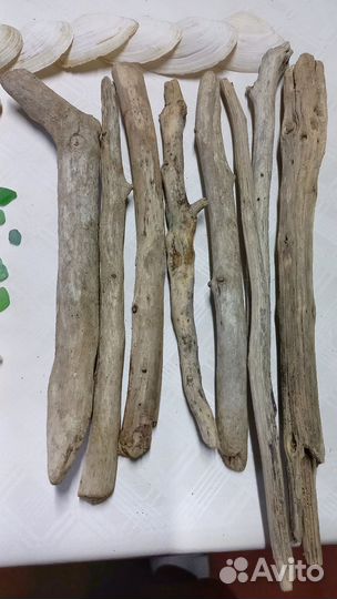 Дрифтвуд большой набор с ракушками морскими