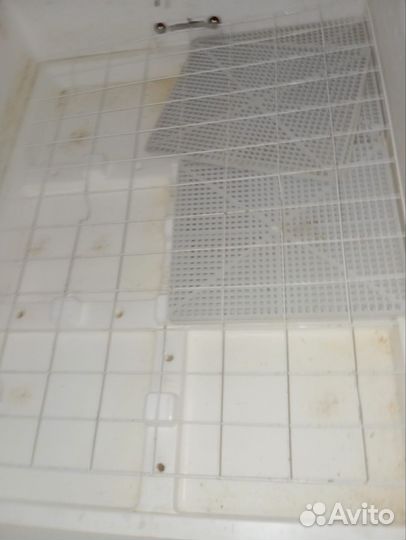 Инкубатор на 104 яйца